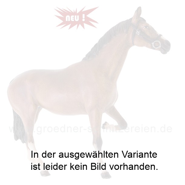 Pferd beim beschlagen