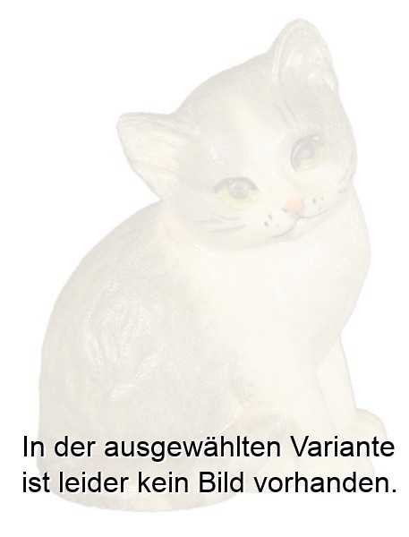 Katzenjunge links