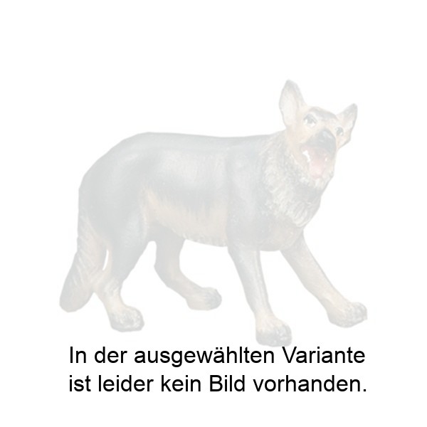 Schäferhund