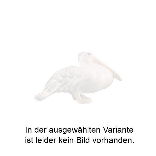 Pelikan nach vorne schauend