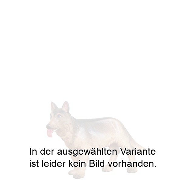 Schäferhund