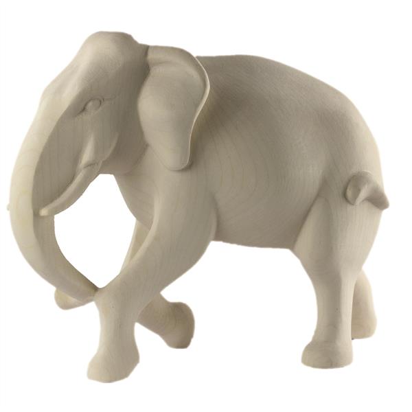 Elefant stehend