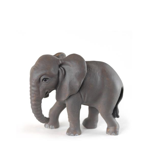 Baby Elefant stehend