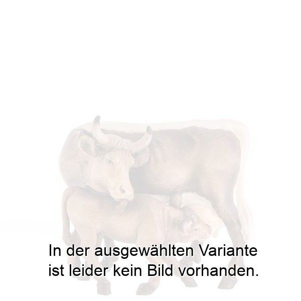 Kuh mit Kalb