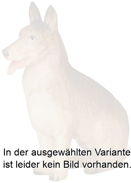 Schäferhund sitzend