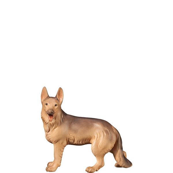 Schäferhund