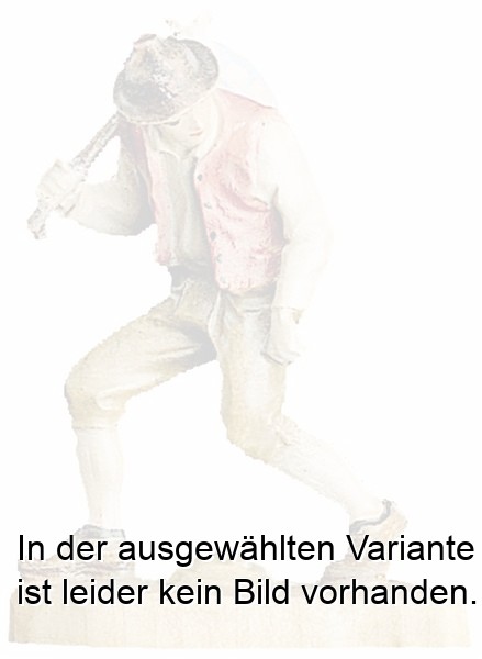 Hirte für Esel