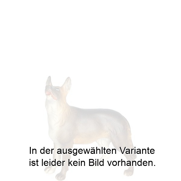 Schäferhund