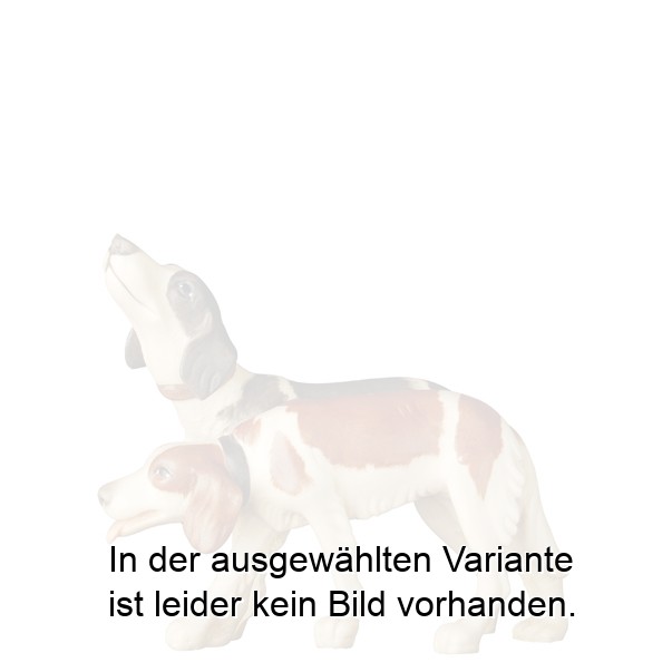 Hundegruppe