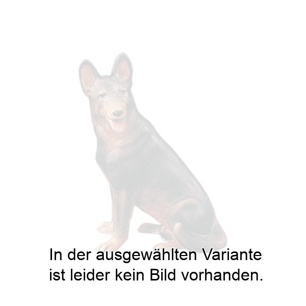 Sitzender Schäferhund