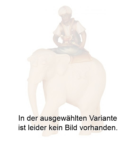 Elefantenreiter (ohne Elefant)