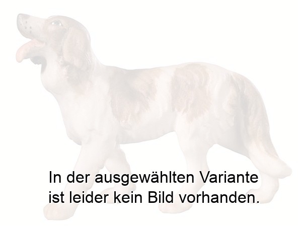 Hirtenhund