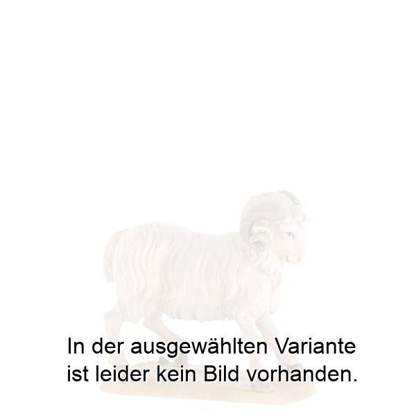 Widder (passend zu Hund Nr. 22052)